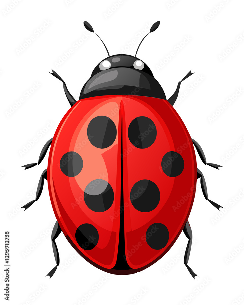 Detailed Illustration of a Ladybug with Red Body, Black Spots, and Six Legs, ideal for Educational and Decorative Purposes, isolated on Transparent background Detailed Illustration of a Ladybug with Red Body, Black Spots, and Six Legs, ideal for Educational and Decorative Purposes, isolated on Transparent background