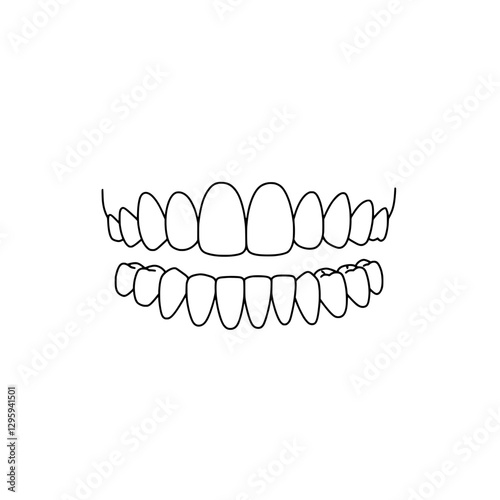 Dental Diagram: An illustrative rendering of a set of human teeth, perfect for medical or educational content.