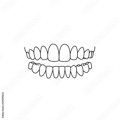 Dental Harmony: A precise line art illustration of healthy, aligned teeth, showcasing a bright, symmetrical smile.