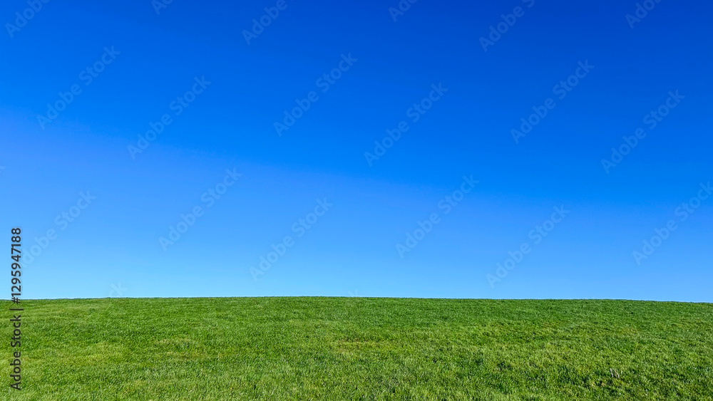 Naklejka premium Scenic landscape of a lush green grass field under a clear blue sky, evoking serenity and tranquility