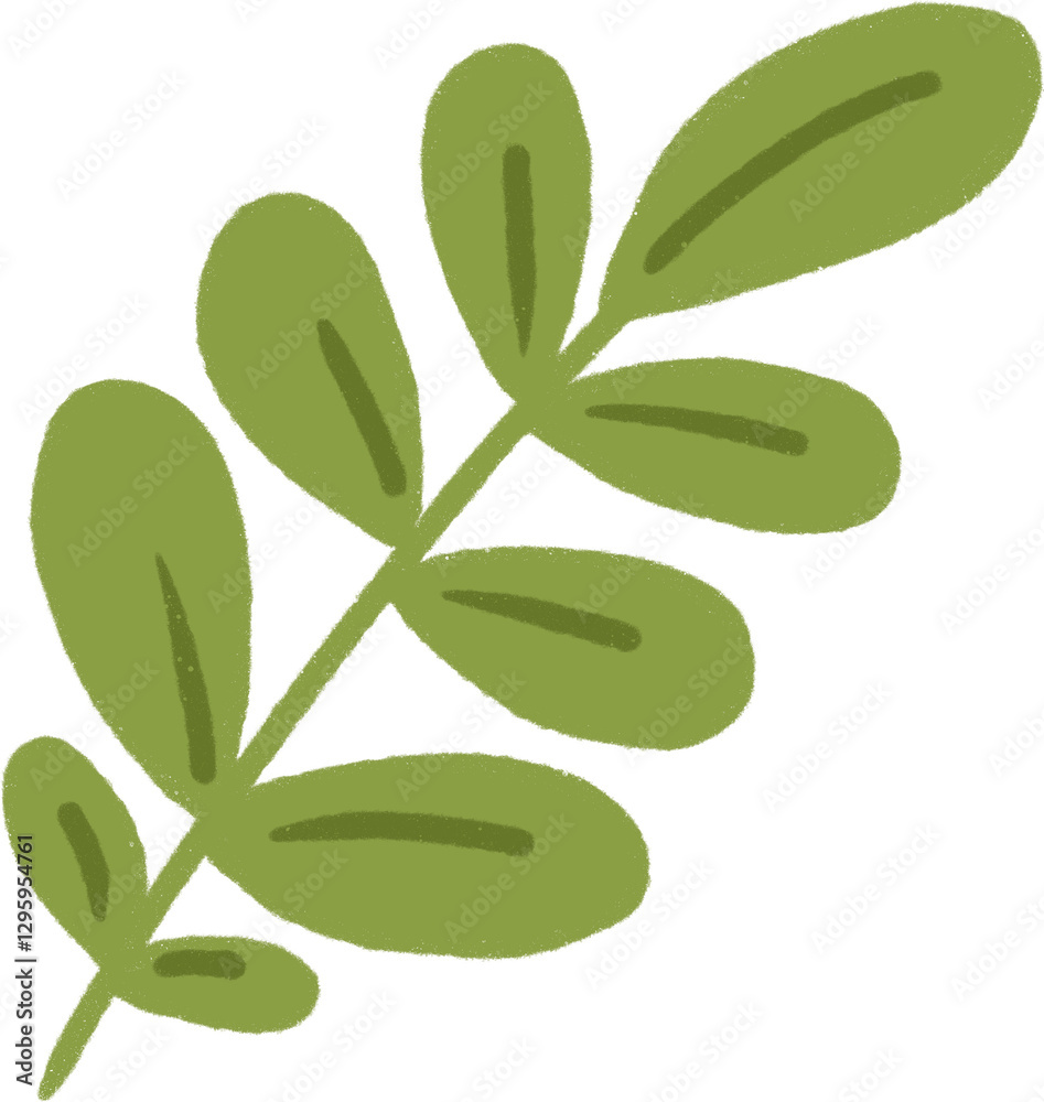 Naklejka premium leaf