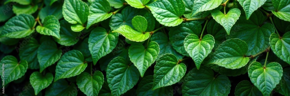 Intricate ivy leaves with delicate filigree details, resembling a lush vine , ornate, pattern, vines Intricate ivy leaves with delicate filigree details, resembling a lush vine , ornate, pattern, vines
