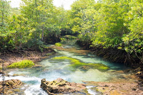 Emerald Pool, Khlong Thom, Krabi, one of the Unseen places in southern Thailand. Limestone pool in the forest surrounded by beautiful nature. The emerald green water is crystal clear and you can swim.