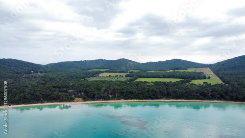 Wallpaper Mural Magnificent coast of the island of Porquerolles in the south of France  Torontodigital.ca