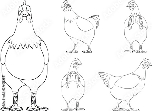 chicken in outline illustration