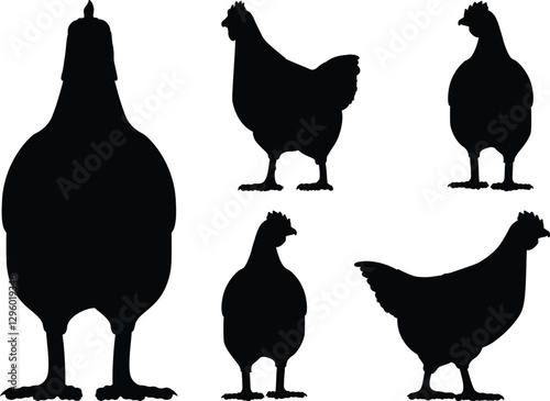 set of chicken silhouettes