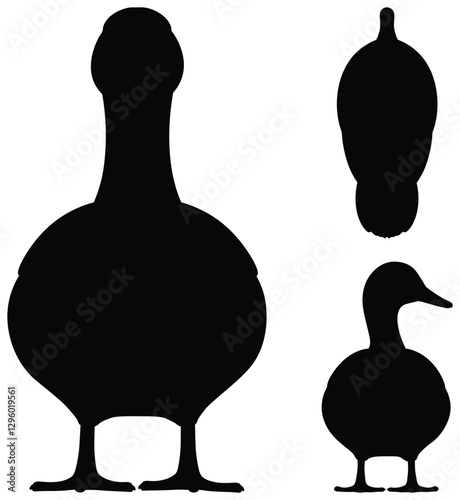 Duck silhouette illustration