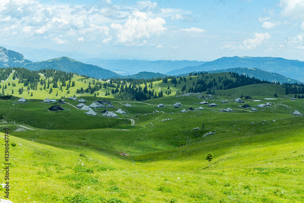 Fototapeta premium Velika Planina, Kamnik, Slovenia. Lord of the Rings style village. Wooden typical houses, hills, green meadows, flowers where cows and calfs graze. High quality artisanal milk and cheeses. Holiday.