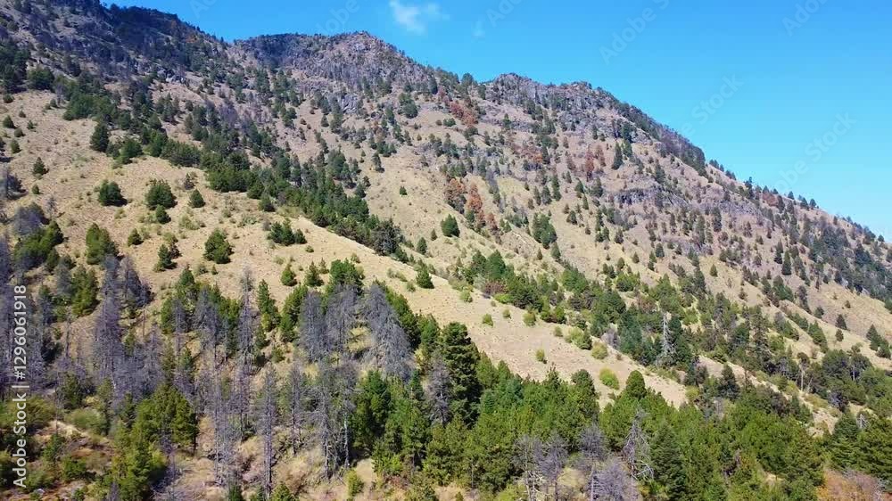 Drone shot of the woods and mountains in Nevado de Colima Volcano National Park in Western Mexico Drone shot of the woods and mountains in Nevado de Colima Volcano National Park in Western Mexico