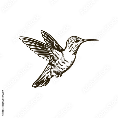 Vintage engraving woodcut hummingbird vector illustration art design