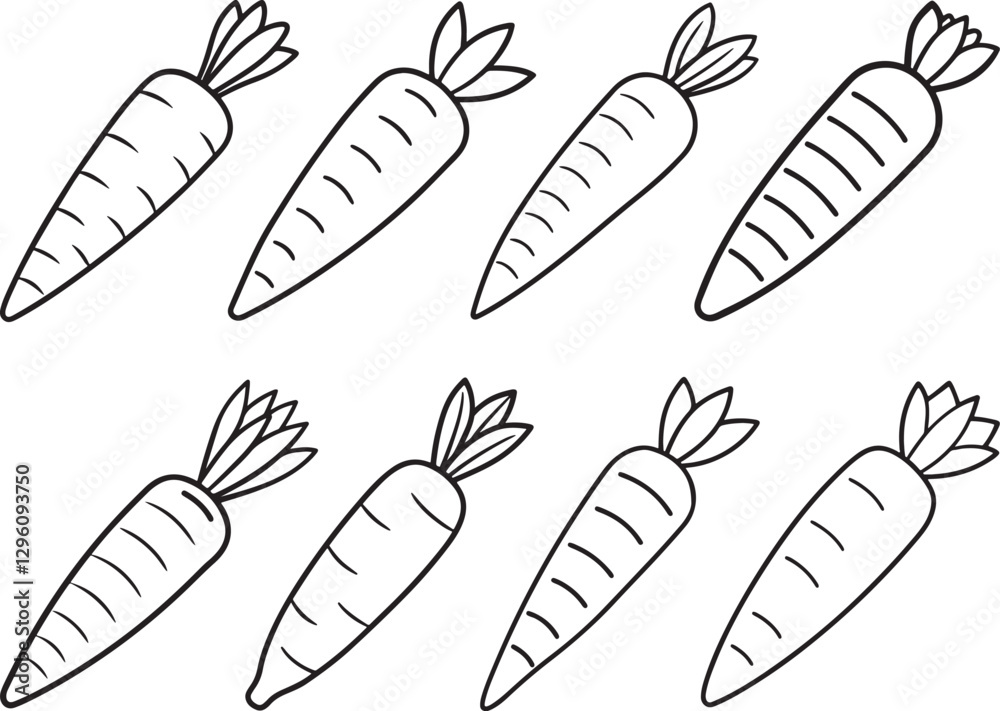 Fototapeta premium set of carrot line art, black outline, vector and illustration, line art&nbsp;and&nbsp;outline