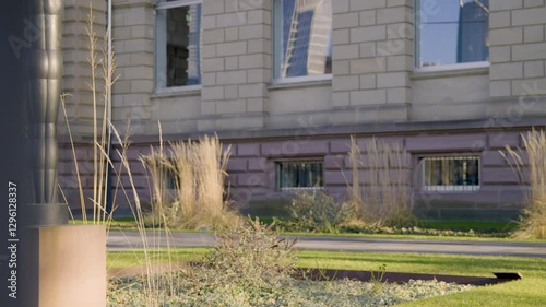 Lush green landscape with tall grasses near the Städel Museum in Frankfurt photo