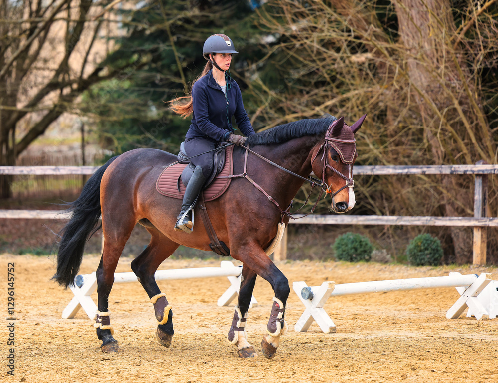Horse with rider training on the riding arena. Horse with rider training on the riding arena.