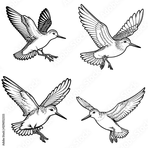Detailed Cute Sandpiper Cartoon Outline Vector Silhouettes in Flying Pose