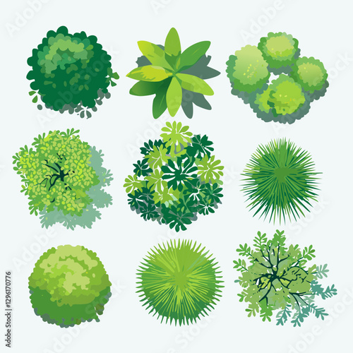 Ensemble de 9 Icônes d'Arbres et d'Arbustes pour Plans de Jardins et Architecture Vus de dessus, Nature et Végétation Couleur Vert Vecteur