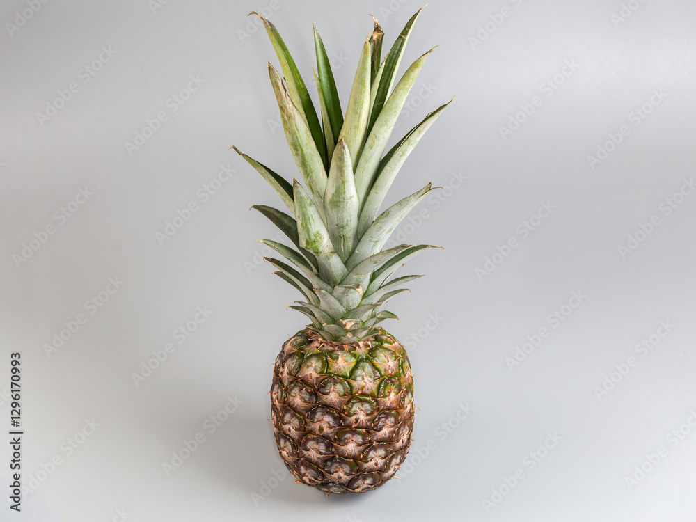 Fototapeta premium Whole fresh pineapple on a gray background