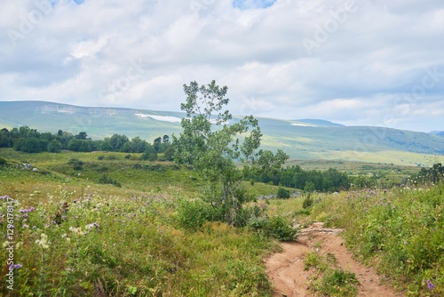 Wallpaper Mural Caucasian Biosphere Reserve in summer. High mountains with snowfields. Tourism and outdoor recreation. Torontodigital.ca