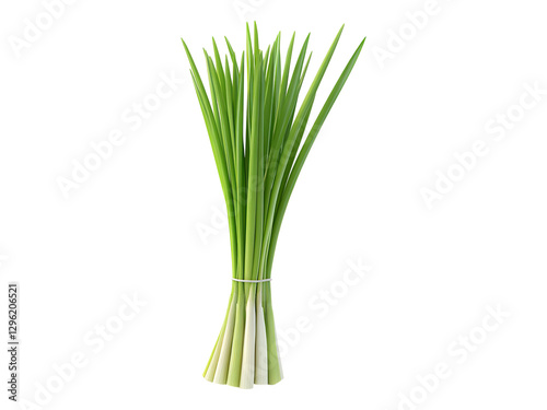 Fresh organic lemongrass