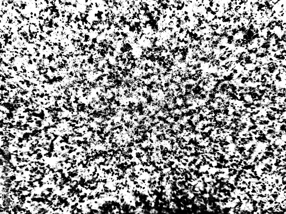 black and white background black and white background
