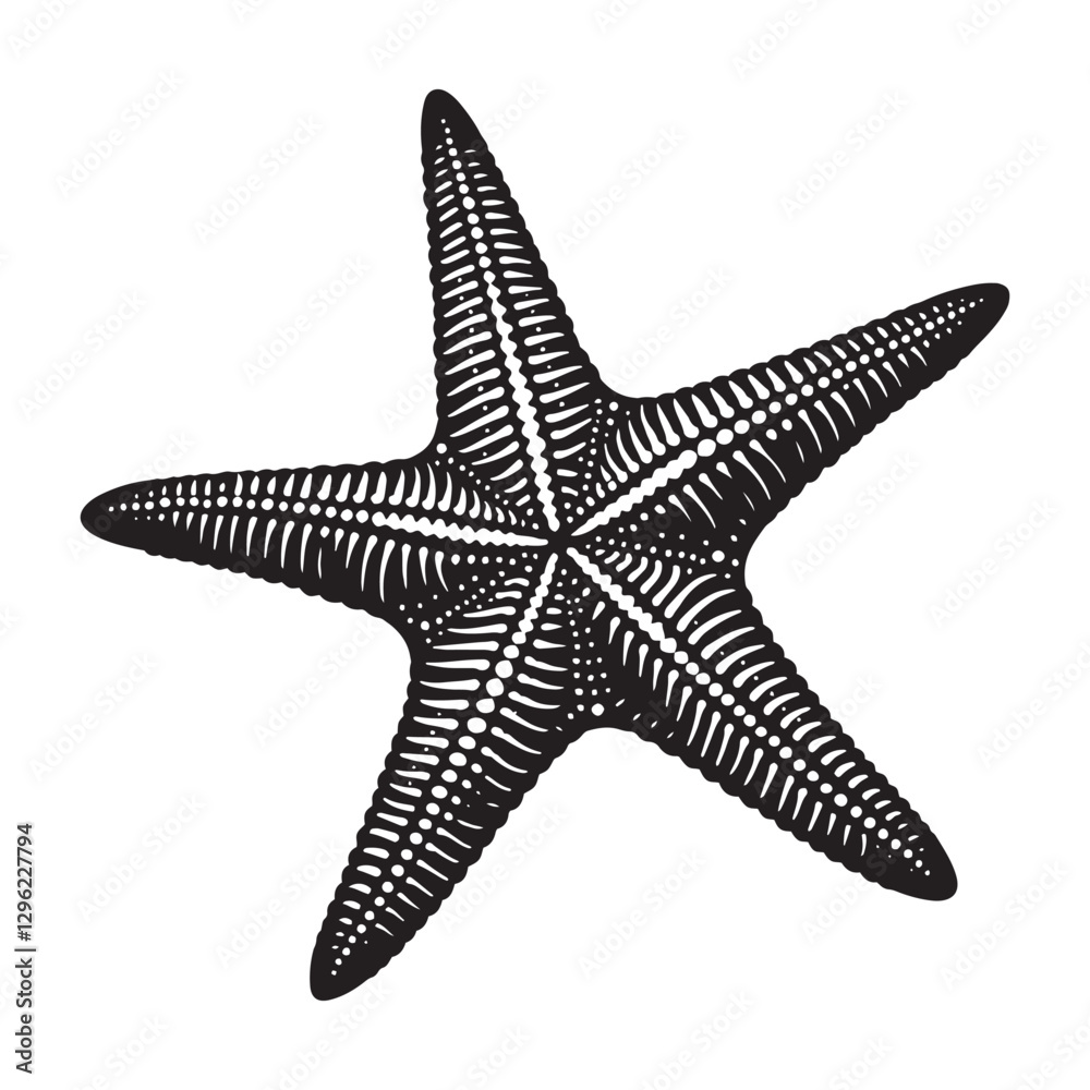 Intriguing Starfish silhouette, a unique piece of marine art - Starfish illustration - Minimalist Starfish vector - Fish silhouette
Intriguing Starfish silhouette, a unique piece of marine art - Starfish illustration - Minimalist Starfish vector - Fish silhouette