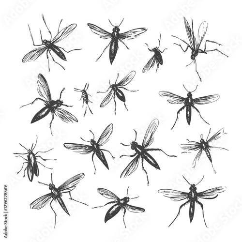 Hand Drawn Illustration Of A Group Of Mosquitoes