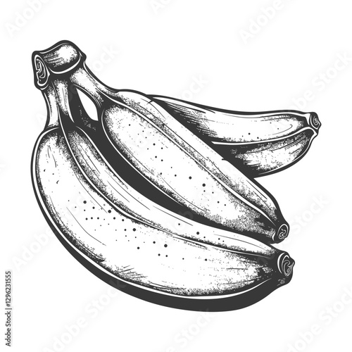 Hand Drawn Illustration Of Three Bananas In Black And White