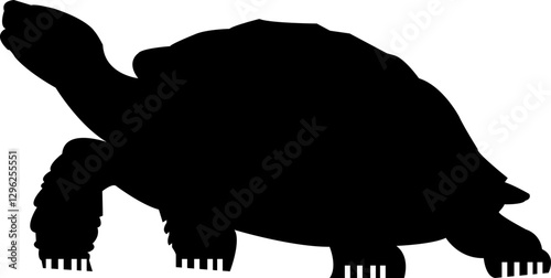 tortoise silhouette vector file svg black color 