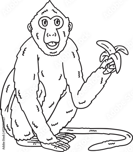 Crab Eating Macaque Monkey Isolated Coloring Page 