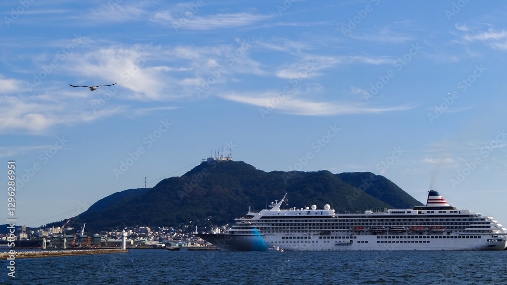 海上から見た豪華客船 海上から見た豪華客船
