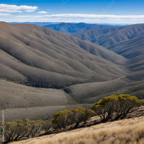 MT Hotham district with denuded trees over the rugged terrain in central Victoria.