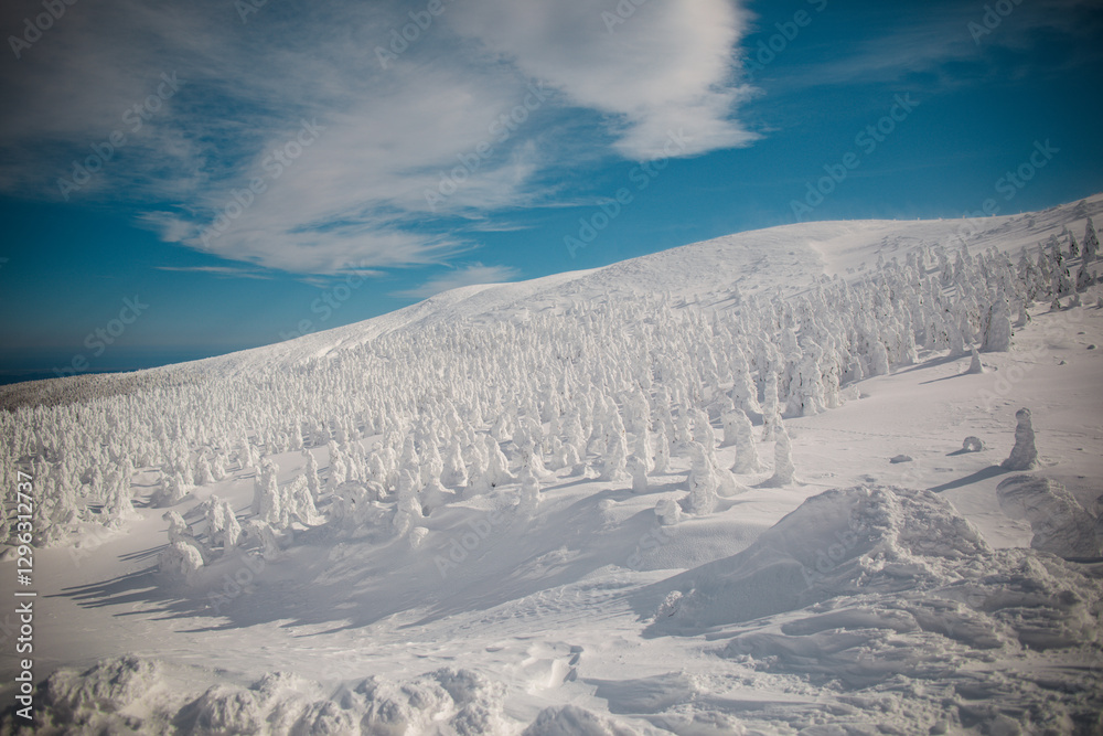 Winter scenery of Mount Zao in Yamagata Prefecture, Tohoku, Japan Winter scenery of Mount Zao in Yamagata Prefecture, Tohoku, Japan