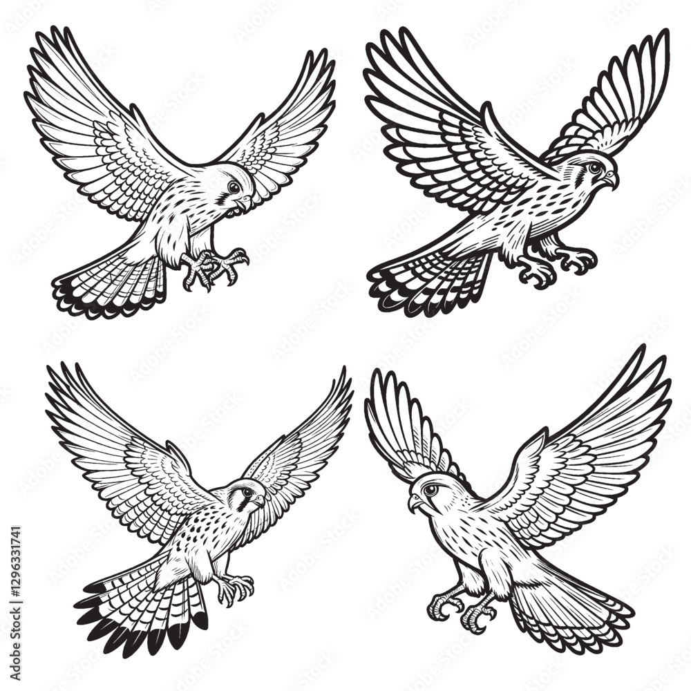 Fototapeta premium High-Quality Cute Cartoonic Chough Flying Pose Outline Vector Illustrations