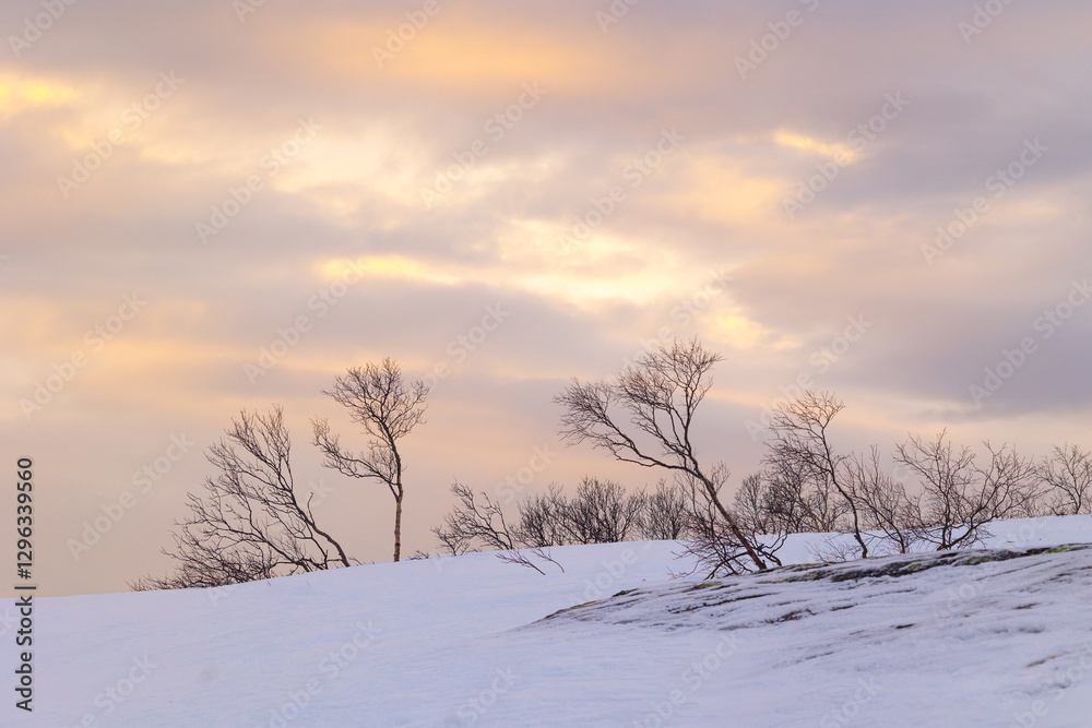 A beautiful Norway winter landscape with snowy mountains during golden hour. Arctic nature in Scandinavia during winter season.
