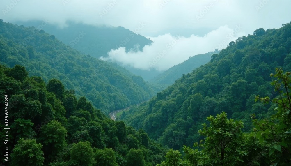 Obraz premium Dense fog hangs over vibrant green rainforest, photography, vegetation