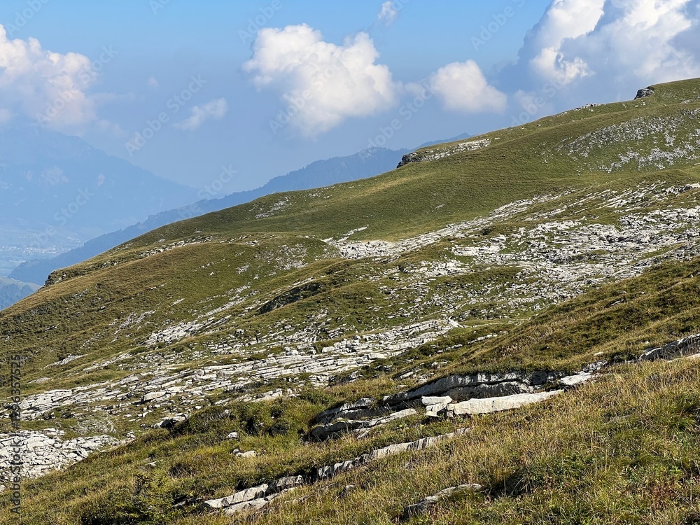 Fototapeta premium Alpine meadows and pastures on the slopes of the Uri Alps mountain massif, Melchtal - Canton of Obwalden, Switzerland (Kanton Obwald, Schweiz)