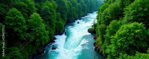 Aerial view of rushing river rapids cutting through lush green forest canopy, untamed, image