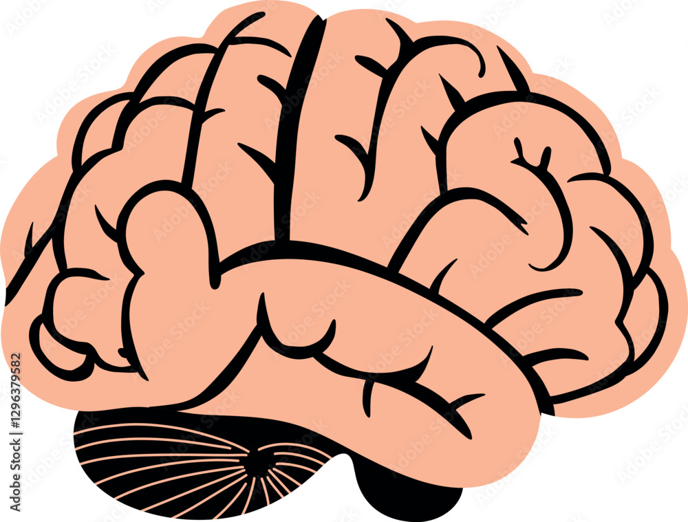 A detailed illustration of the human brain, symbolizing intelligence, creativity, and neural activity. Perfect for educational, medical, and scientific content related to cognition and mental processe A detailed illustration of the human brain, symbolizing intelligence, creativity, and neural activity. Perfect for educational, medical, and scientific content related to cognition and mental processe