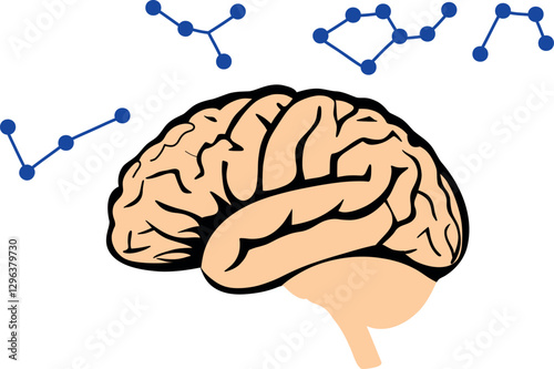 A detailed illustration of the human brain, symbolizing intelligence, creativity, and neural activity. Perfect for educational, medical, and scientific content related to cognition and mental processe