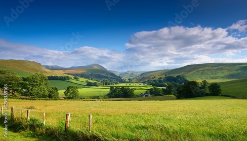 summer countryside scene in blackmore vale and vale of wardour