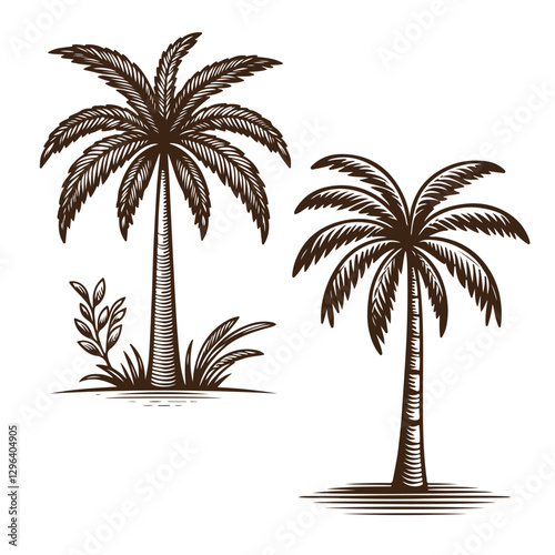 Collection of Palm Tree Illustrations for Tropical Themes