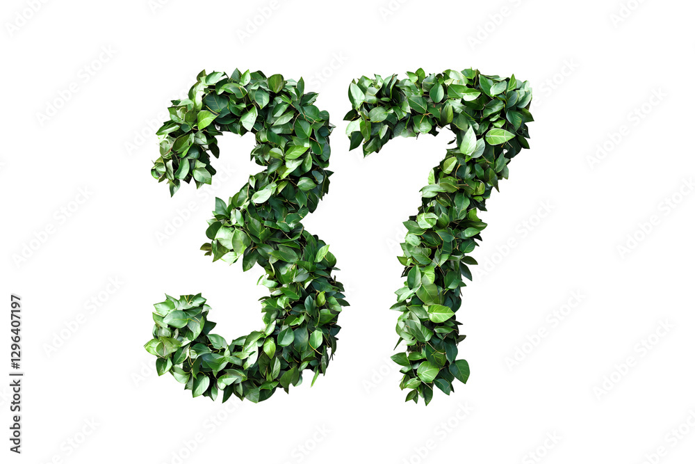 Leaves Create Number 37, Transparent Background Leaves Create Number 37, Transparent Background