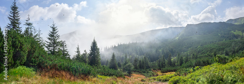 Принти на полотні Sunrise in early morning over the mountains in fog and evaporation water over fir trees with sika deers and birds