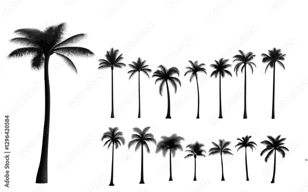 Naklejka premium A vector collection of black palm tree silhouettes on a white background, design with minimalist details and a flat illustration style.
