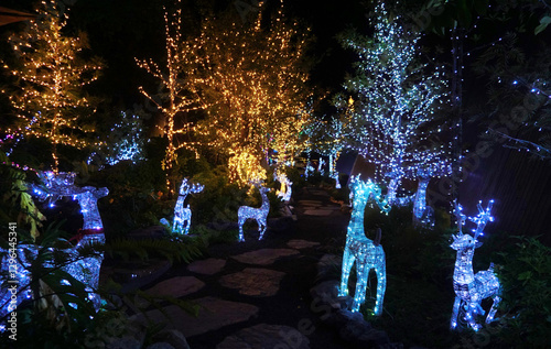Led light decoration at deer sculpture at garden night