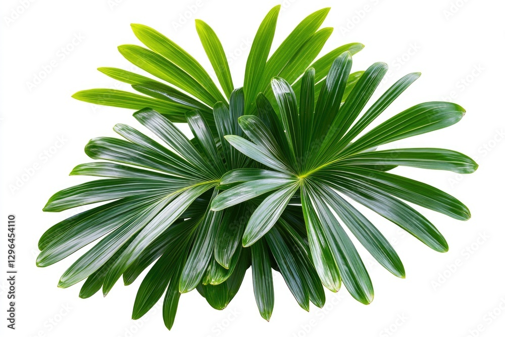 This artificial palm tree with green leaves is a perfect indoor plant decoration. Its lifelike appearance adds a touch of nature to your home. This artificial palm tree with green leaves is a perfect indoor plant decoration. Its lifelike appearance adds a touch of nature to your home.