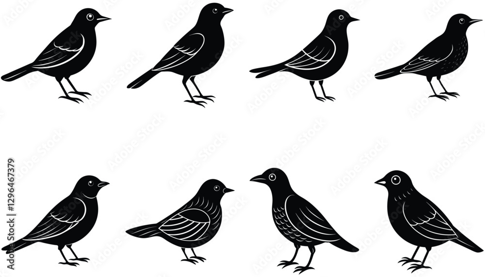 Bird vector shilhouette bundle set icon Bird vector shilhouette bundle set icon