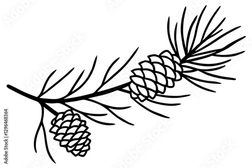 Detailed Line Drawing of Pine Branch with Cones

