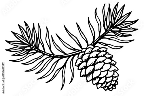 Detailed Line Drawing of Pine Branch with Cones

