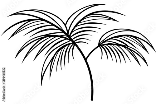 Detailed Line Art of Palm Leaves for Luxury Design

