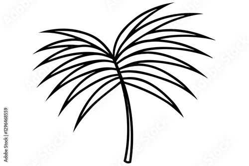 Detailed Line Art of Palm Leaves for Luxury Design

